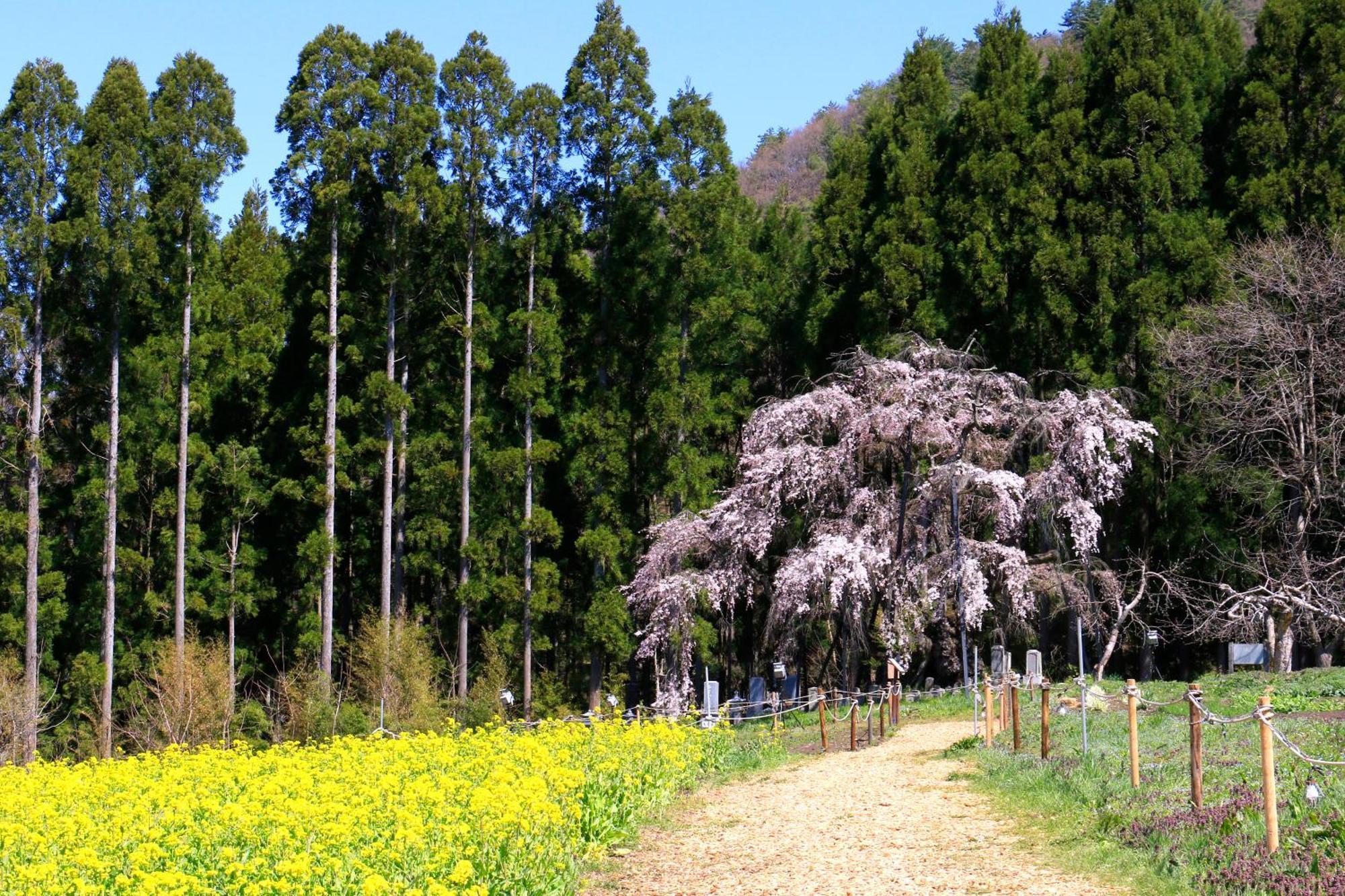Fujiiso (Adults Only) Hotel ทาคายามะ ภายนอก รูปภาพ