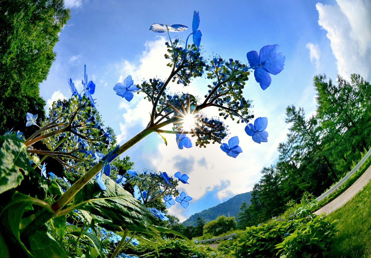 Fujiiso (Adults Only) Hotel ทาคายามะ ภายนอก รูปภาพ